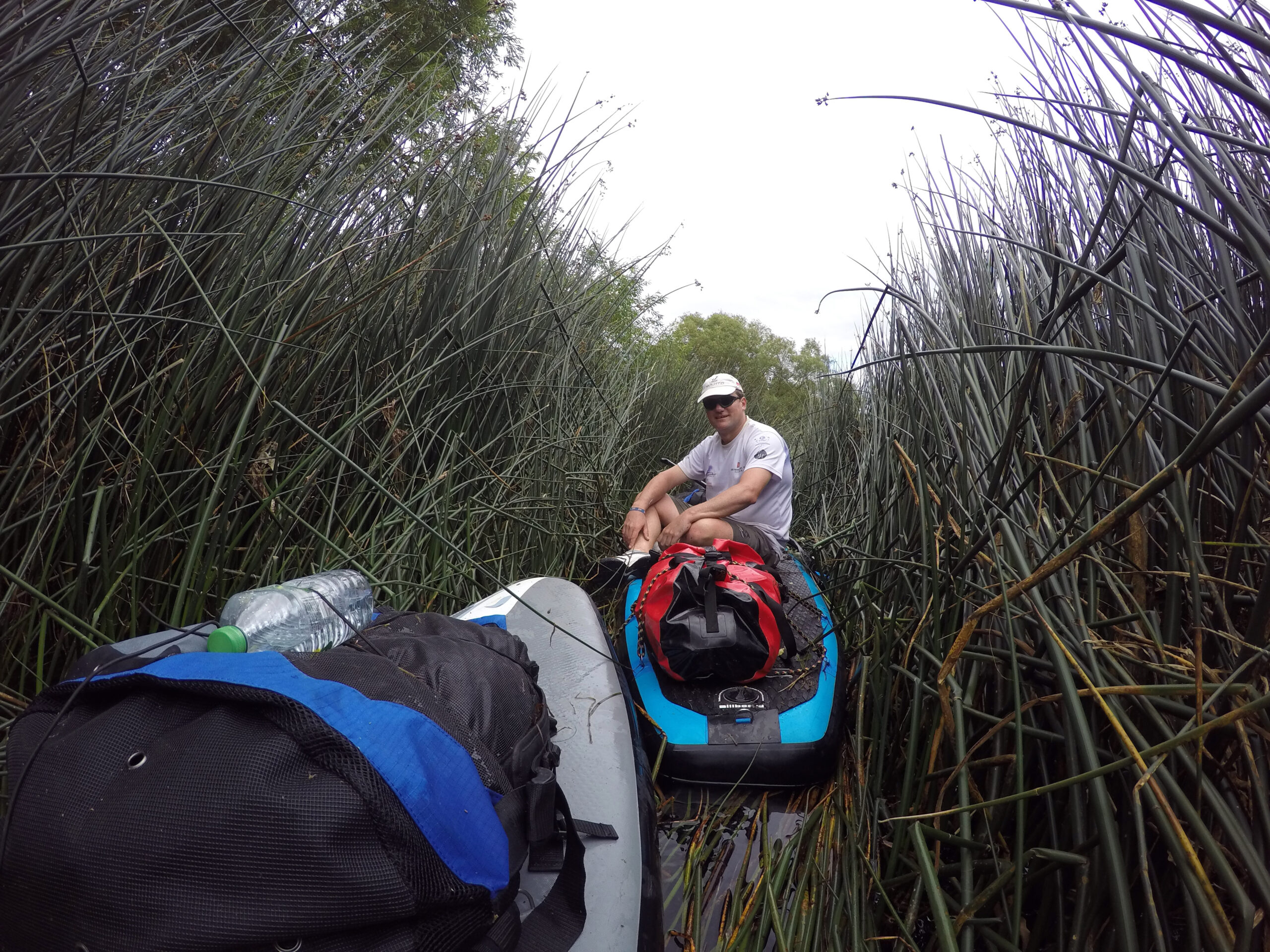 Fighting our way through the reeds on The Thames