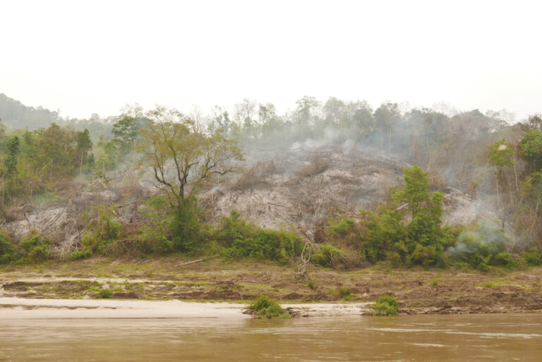 Deforestation along the river banks was a constant theme